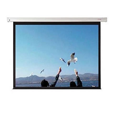 Image result for Best Motorized Projection Screen