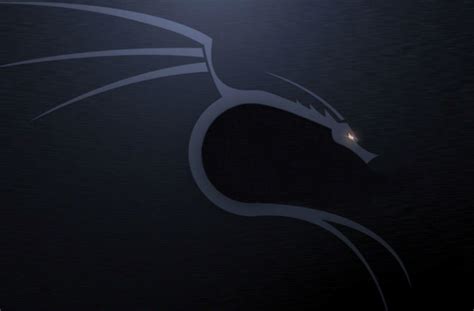 BackTrack Linux Logo Transparent に対する画像結果