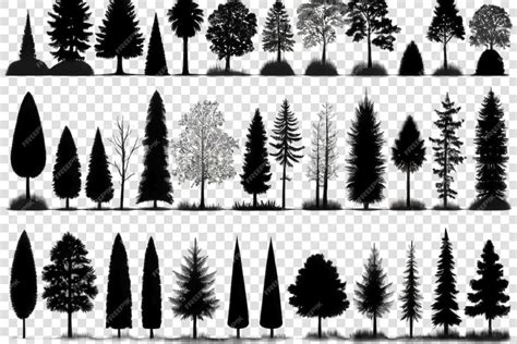 Image result for Patterns On Trees