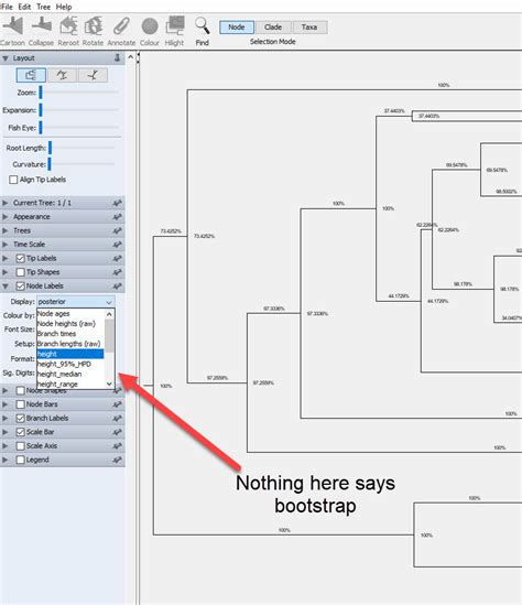 Image result for Fig Tree Software Evolution
