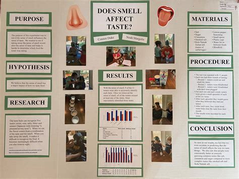 Image result for Color and Memory Science Fair Project