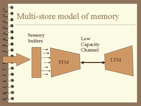 Image result for Multi-Store Memory Model Reductionist