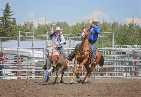 Image result for Rodeo Roping