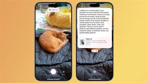 Image result for iOS 18 Camera Icon