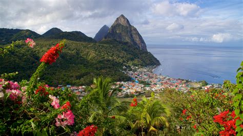 Piton Deutsch に対する画像結果