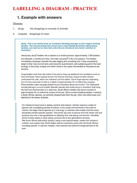 Image result for Different Types of Diagram Labels