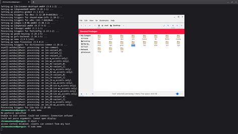 Image result for Chrome OS File Manager
