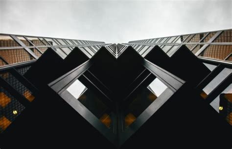 Image result for The 7 Principles of Design Art Examples