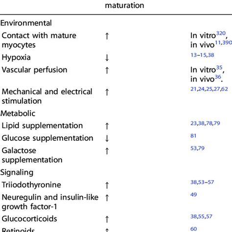 Protein Maturation Process માટે ઇમેજ પરિણામ