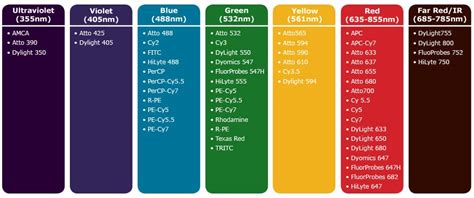 Image result for Cy3 Color Chart
