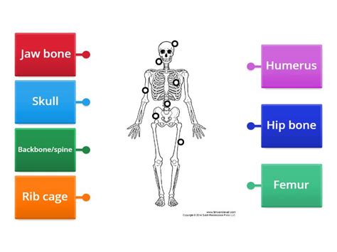 Python Skeleton Labeled に対する画像結果