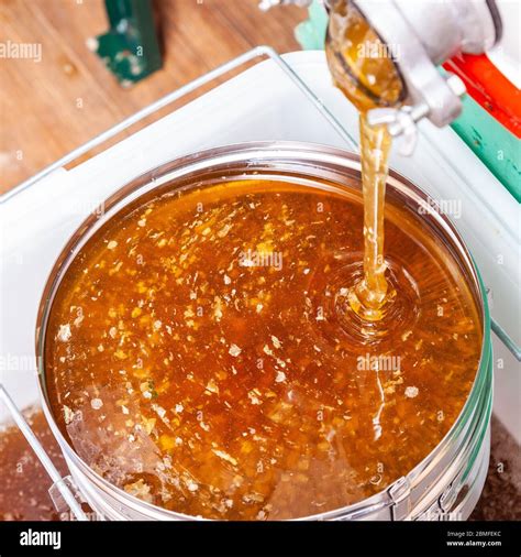 Image result for Extracting Honey Process