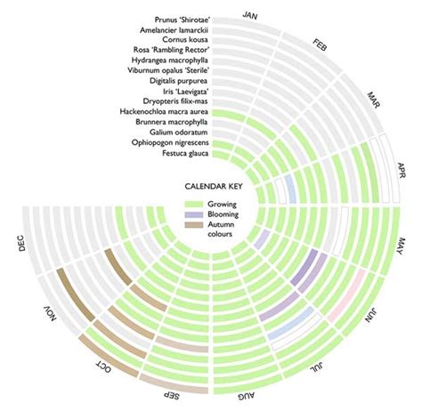 Image result for News Colour Coding Score