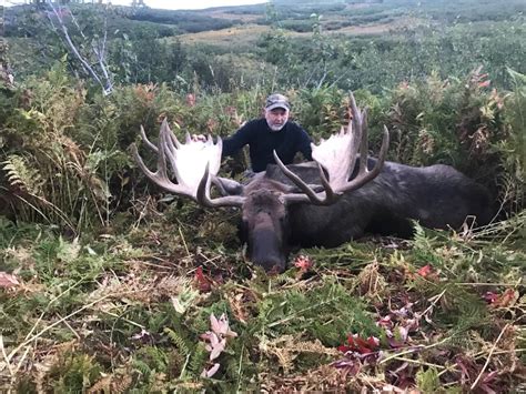 Image result for Best Area for Moose Hunting in Alaska