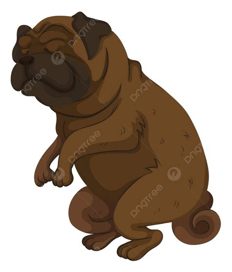 Toradh íomhá ar Closing Vector Transparent