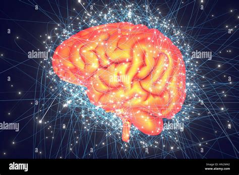 Image result for Brain Network Drawing