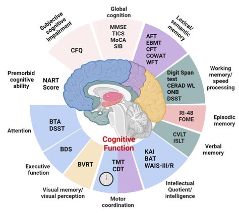 Toradh íomhá ar Cognitive Function Examples