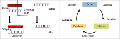 Toradh íomhá ar Mutation in Genetic Algorithm Transparent Pictures