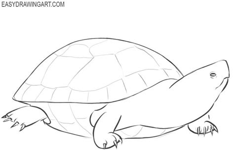 Snapping Turtle Sketch に対する画像結果