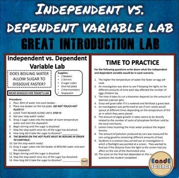 Image result for Independent Dependent and Control Variable Lab Report