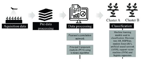 Image result for Processus Data Analysis