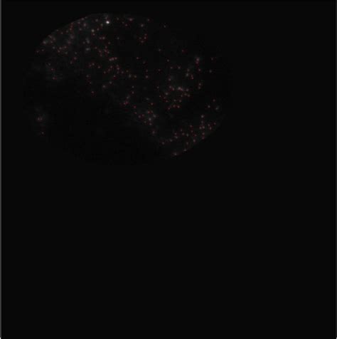 Image result for Particle Tracking Python