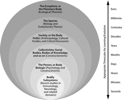 Image result for Nested System