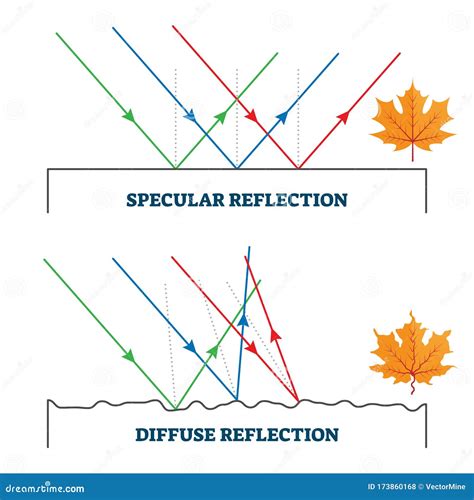 Diffuse Light Reflection에 대한 이미지 결과