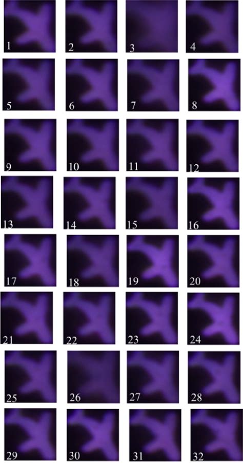 Image result for Light Microscope Resolution