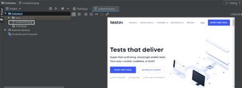 Image result for Take Screenshot in Selenium Java