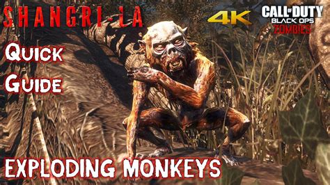 Exploding Monkeys に対する画像結果