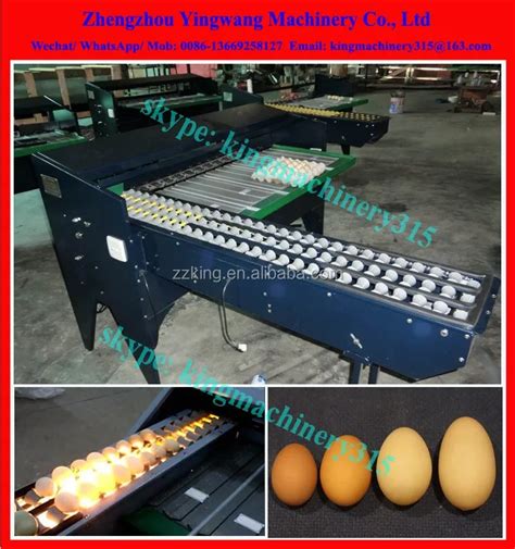 Image result for Egg Sorting Machine Design