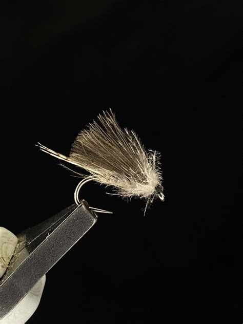 Image result for Cricket Dry Fly Pattern