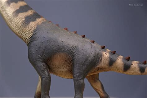 Afbeeldingsresultaten voor Pnso Alamosaurus