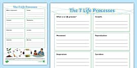 Image result for 7 Life Processes Worksheet