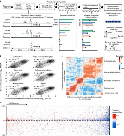 Image result for Sequence Model Deep Learning Multiple Regression Outputs