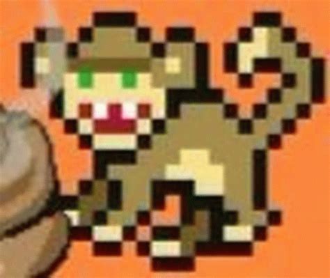 Code Monkey Meme に対する画像結果