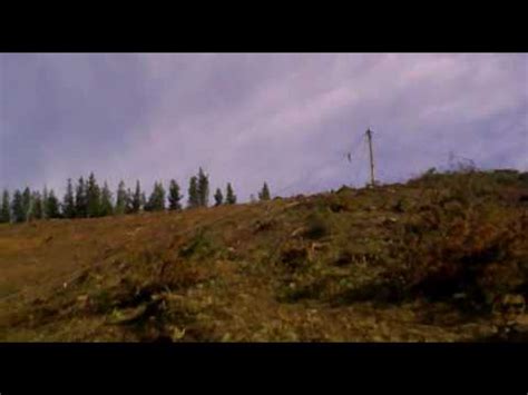 Image result for Skyline Logging Systems