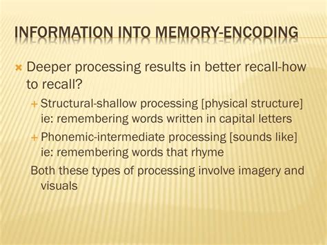 Image result for Encoding Memory