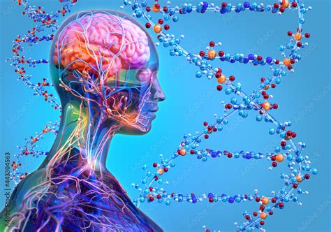 Image result for Biological Inheritance