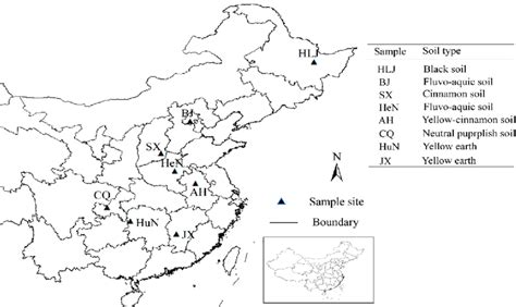 Systematic Sampling Map に対する画像結果