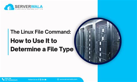 Coman File System Types in Linux に対する画像結果