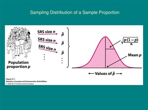 Normal Sampling Distribution に対する画像結果