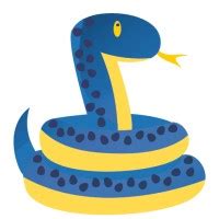 Image result for Python-inspired LinkedIn Banner