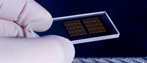 Image result for What Is DNA Microarray