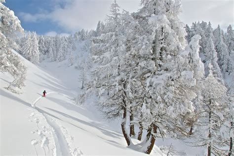 Image result for Snow Thru Window Video Background