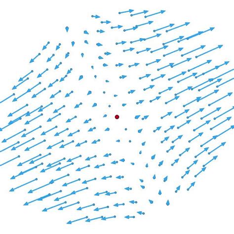 Strain Rate Tensor に対する画像結果
