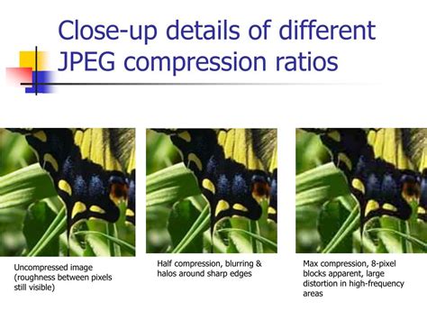 Image result for Image Compression Types Chart