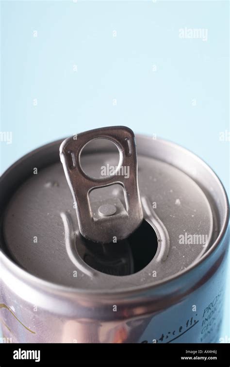 Afbeeldingsresultaten voor What Dose Kea Aut Mean