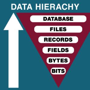 Image result for Data Hierarchy in a Computer System